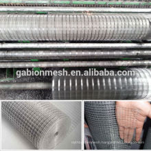 Galvanized welded wire mesh/PVC coated welded wire mesh (factory price)